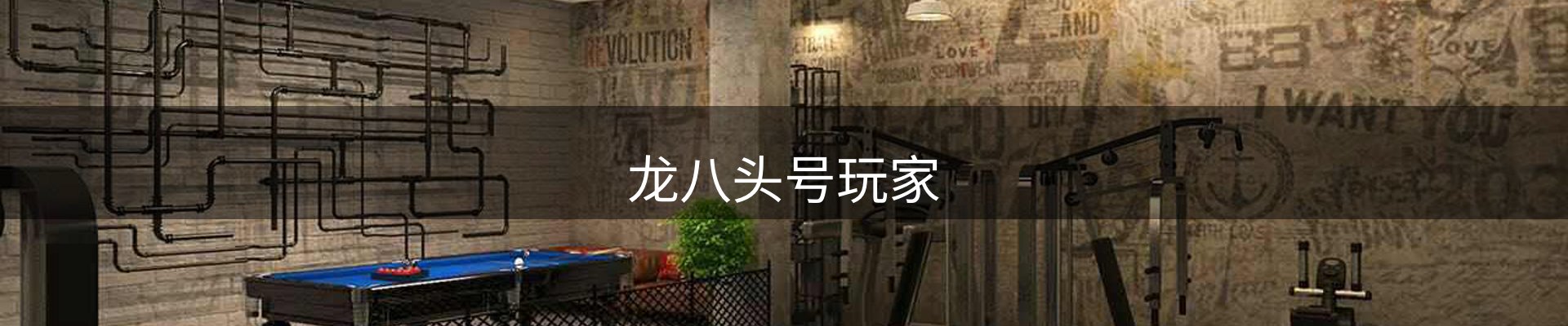 龙八头号玩家